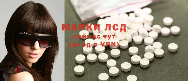 прущие грибы Зеленокумск