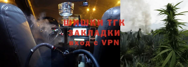 ГАЛЛЮЦИНОГЕННЫЕ ГРИБЫ Зеленодольск