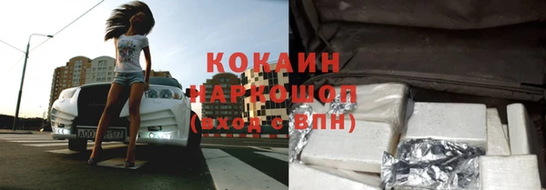 прущие грибы Зеленокумск