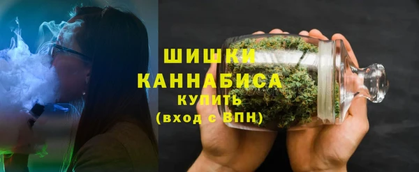 прущие грибы Зеленокумск