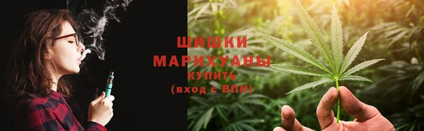 прущие грибы Зеленокумск