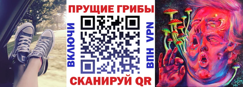 Купить  Дмитров  Псилоцибиновые грибы мухоморы 