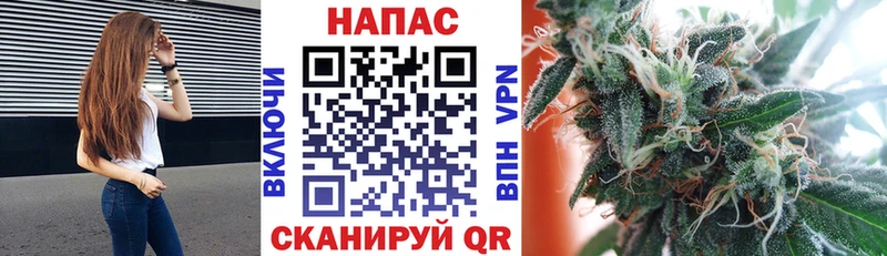 Купить  Дмитров  Бошки Шишки планчик 